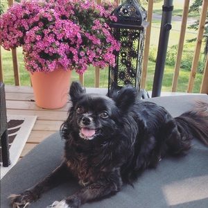 Meet your Posher, Maddison